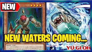 Brand New YuGiOh Cards 2024 : Water Sharks Rage of the Abyss