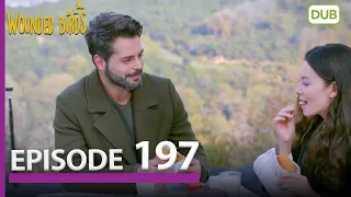 Wounded Birds Episode 197 - Urdu Dubbed | Turkish Drama