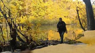 Землянка бункер. Два дня в лесу 4к видео 1 часть