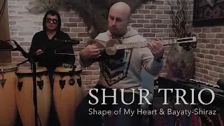 Shape Of My Heart🇦🇿Vüsal İsgenderzade Tar Solo Bayatı Şiraz