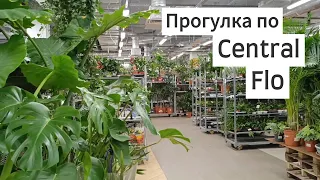 Новый обзор / Прогулка по Рижскому рынку - CENTRAL FLO!