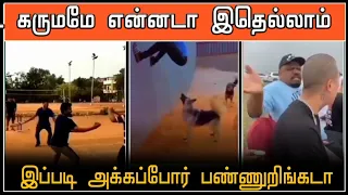 அட கருமமே என்னடா இதெல்லாம் இப்படி அக்கபோர் பண்ணுறீங்க😱 | best funny videos | comedy funny moments