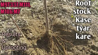 Root Stock Multifunction & Results_Uprooting Rootstock