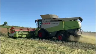 Показуємо переваги Claas Lexion 600