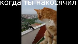 когда ты конкретно накосячил