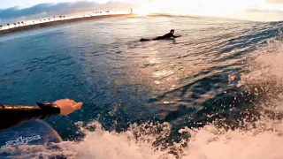 Catch Surf Round Nose Fish | Midlength Surfing GoPro POV