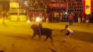 Bull commits suicide: bull has his horns lit on fire and runs headfirst into pole - TomoNews