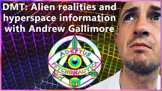 DMT: Alien realities and hyperspace information with Andrew Gallimore