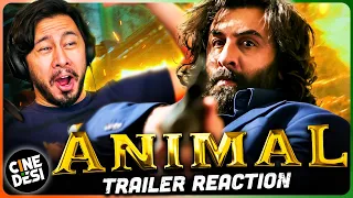 ANIMAL OFFICIAL TRAILER REACTION! Ranbir Kapoor | Rashmika M, Anil K, Bobby D