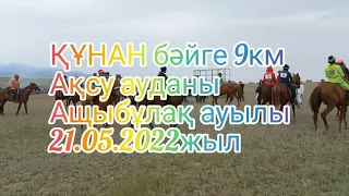 КУНАН байге 9 км. 21.05.2022 жыл. АЩЫБУЛАК ауылы