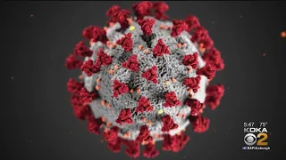 What Lessons Have We Learned From The Coronavirus Pandemic?