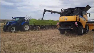 NEW HOLLAND CR 8.90 ,NEW HOLLAND T7 CORN HARVEST @histafahrzeugundagrartechnik