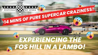 This IS THE ULTIMATE driving experience in a Lamborghini Huracan STO #lamborghini #festivalofspeed