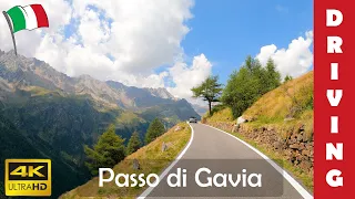 Driving in Italy 20: Gavia Pass | 4K 60fps
