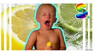 Alexandr eats a lemon for the first time. Этот кислый лимон .)