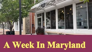 A Week in Maryland - #abiyahbina #vanlife #minivanlife #nomads #minivancamper #vanliving