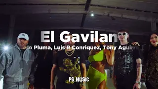 El Gavilan - Peso Pluma, Luis R Conriquez & Tony Aguirre (Letra/Lyrics) #pesopluma #letra#music