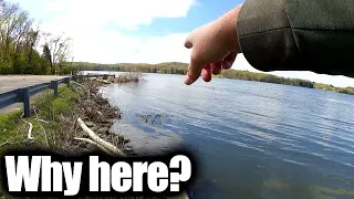 How do I Catch So Many Bluegill? Where & Why! (Bluegill Fishing Tips)