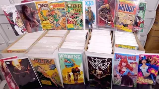 I spent $8023.76 on Comic Books at the 2022 New York Comic Con - NYCC 2022