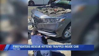 Firefighters rescue two kittens stuck inside of a car