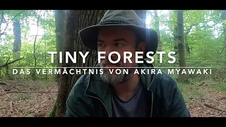 Tiny Forests - Die "neue" Wunder-Baumpflanzmethode???