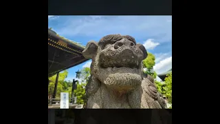 Naritasan Shinshoji Temple, Omotesando, & Naritasan Park