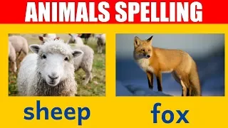 Animal Names - Learn Spelling and Pronunciation of Words in English