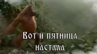 Макака танцует