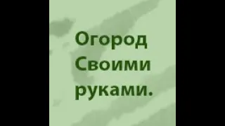 ЛЕЖКИЕ СОРТА ТОМАТОВ. СОРТА ДЛЯ ДЛИТЕЛЬНОГО ХРАНЕНИЯ. ЛУЧШИЕ СОРТА ТОМАТОВ. РЕКОМЕНДАЦИИ САДОВОДОВ✔️