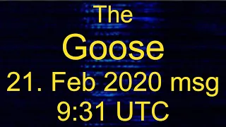 [The Goose] Voice message 21. Feb. 2020 9:31 UTC