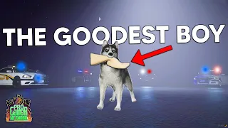 DOG STEALS A LEG!? | PGN #94