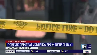Domestic fight turns into homicide in east Las Vegas valley trailer park