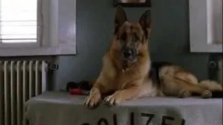 Kommissar Rex S10E01 E Mail von der Mörderin