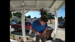 guy punches a plant pot