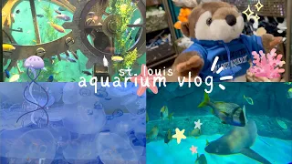 st. louis aquarium vlog 🐚🫧 sharks, turtles, jellyfish, and more!
