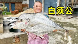 大兒子寄回1條20斤大魚，阿胖山做莆田名菜魚炝，連湯都被喝光了