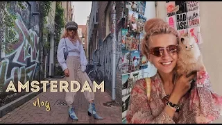 VLOG ♡ AMSTERDAM | три метра над уровнем неба, веган, пою в Амстердаме