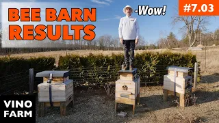 Keeping Bees With Full Insulation + No Upper Vents (100% Survival)