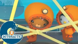 Octonauts - Le net | Dessins animés pour enfants