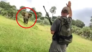 20 Times African Safari Trips Went Horribly Wrong