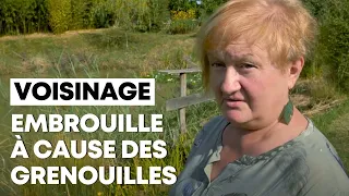 Conflit de voisinage à cause de... grenouilles