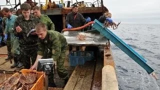 Пираты в Охотском море.Браконьерство на Дальнем Востоке