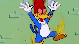 Woody Woodpecker Show | Difficult Delivery | Full Episode | Videos For Kids
