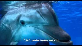Dolphin Tale 2 - Trailer F2 - Arabic Subtitles