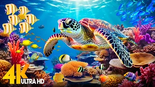 Ocean 4K - Sea Animals for Relaxation, Beautiful Coral Reef Fish in Aquarium (4K Video Ultra HD) #2