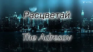 Расцветай by The Adresov | Lyrics |