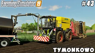 Selling lettuce, new CLAAS Xerion 3000 Saddle Trac | Tymonkowo | Farming simulator 19 | ep #43