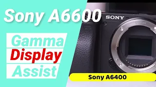 Sony A6600-Better Dynamic Range Gamma Display Assist SLOG HLG A6400