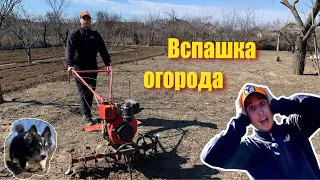 Вспашка земли мотоблоком. Огород в деревне.