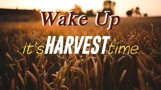 Wake Up, It's Harvest Time! by Dr. Sandra Kennedy